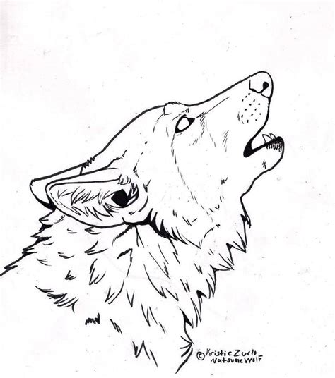 Wolf Drawings To Trace