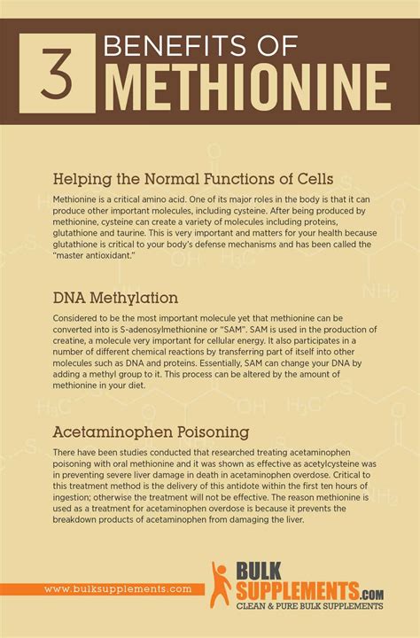 Pin on Amino Acids