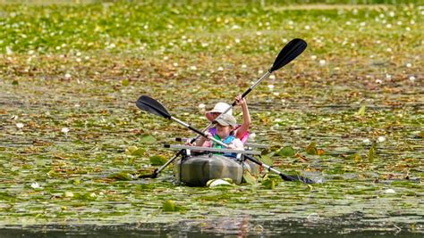 Photos from 2022 At The Lake event at Camp Whitcomb/Mason in Hartland