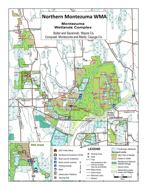 Northern Montezuma | Friends of the Montezuma Wetlands Complex