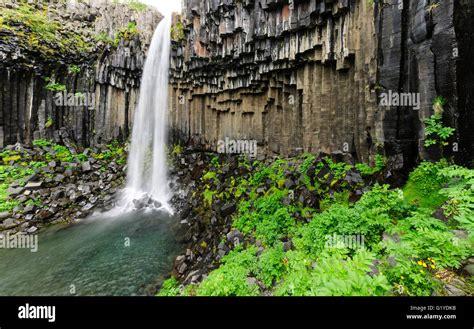 Waterfall Svartifoss with basalt columns, Skaftafjell National Park, Iceland Stock Photo - Alamy