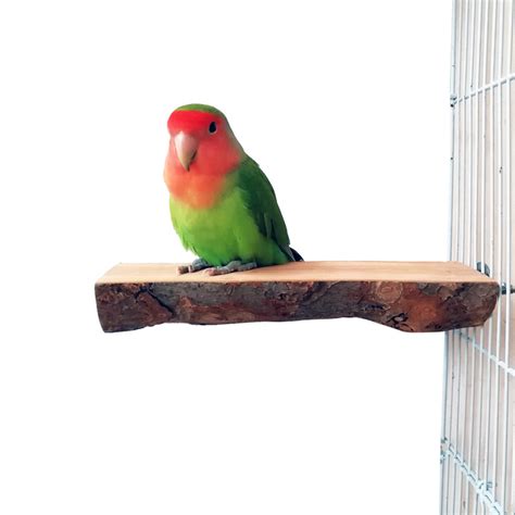 QUMY 2 Pack Parrot Bird Cage Perch Natural Wood Fork Stand Perch Wooden ...