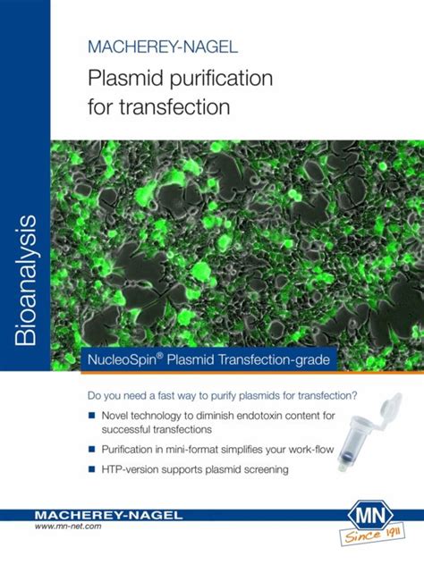 Plasmid purification for transfection - NucleoSpin® Plasmid Transfection-grade - Scientific Panama