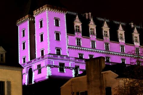 Le château de Pau en rose – Noblesse & Royautés