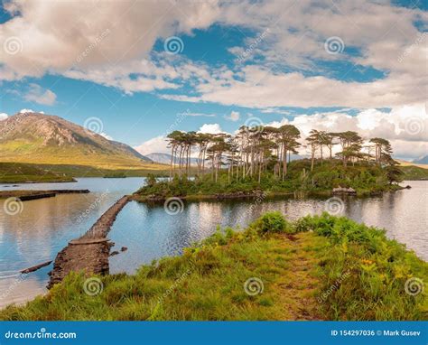 Pine Island in Connemara National Park, Sunny Warm Day, County Galway ...