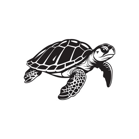 Turtle Vector Images 35487493 Vector Art at Vecteezy