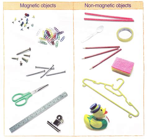 Science (Magnet): Magnetic and Non-Magnetic Objects