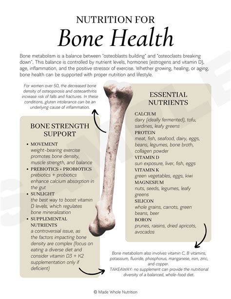 Nutrition for Bone Health Handout — Functional Health Research ...