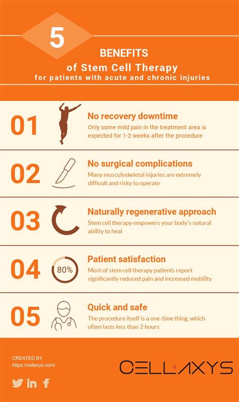 Stem Cell Therapy, Explained: Everything You Need To Know