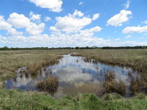 Kedron Brook Bikeway and Wetlands - Aussie Bushwalking