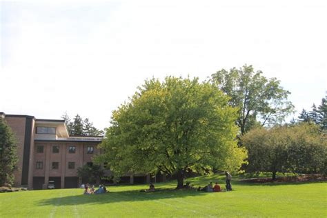 Princeton Review recognizes Calvin as green campus – Calvin University Chimes