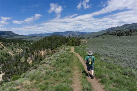 Yellowstone: Grand Canyon Rim Hike 2023 Yellowstone National Park | lupon.gov.ph