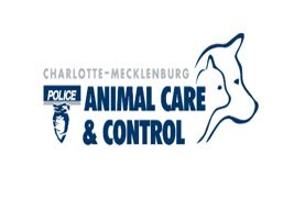 CMPD Animal Care & Control Announces 2020 Adoption Goal - WCCB ...