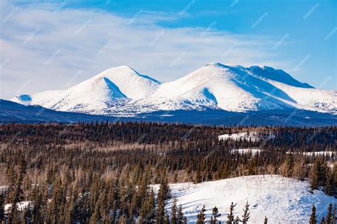 Premium Photo | Snowy winter mountain landscape yukon yt canada