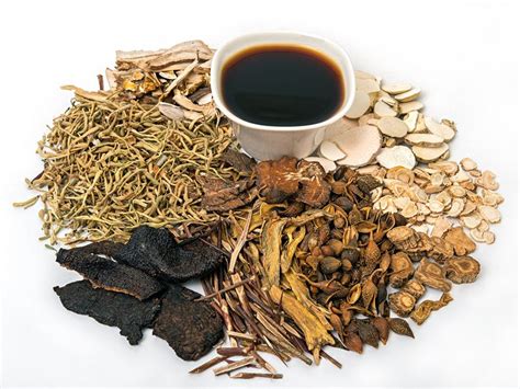 Chinese Herbs For Immune System - designschema