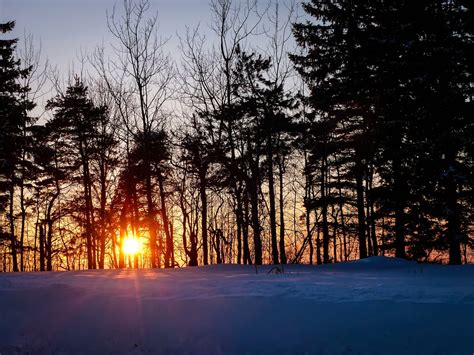 Gale's Photo and Birding Blog: Winter Woods at Sunset