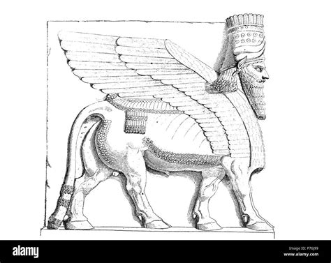 Lamassu Drawing