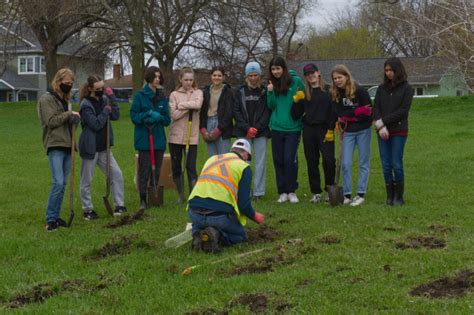 Tree Planting – Our Canada Project