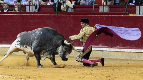 Spain Culture Bullfighting