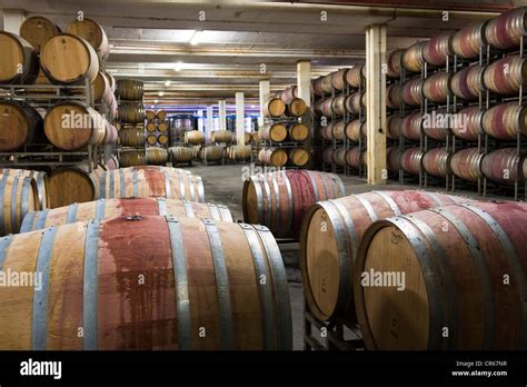 South Africa, Western Cape, on the wine route, Stellenbosch, cellar of ...