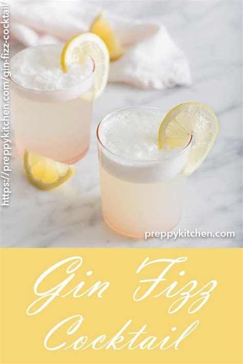 Make a gin fizz cocktail using egg whites and blood orange #preppykitchen #bloodorange https ...