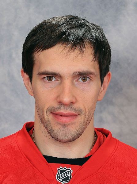 Player photos for the 2012-13 Detroit Red Wings at hockeydb.com