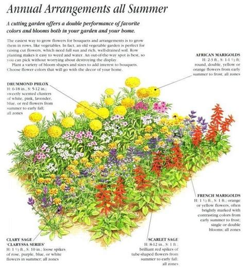 This Is How Flower Garden Layout Will Look Like In 12 Years Time ...