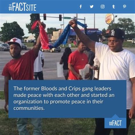 The Fact Site - The former Bloods and Crips gang leaders made...