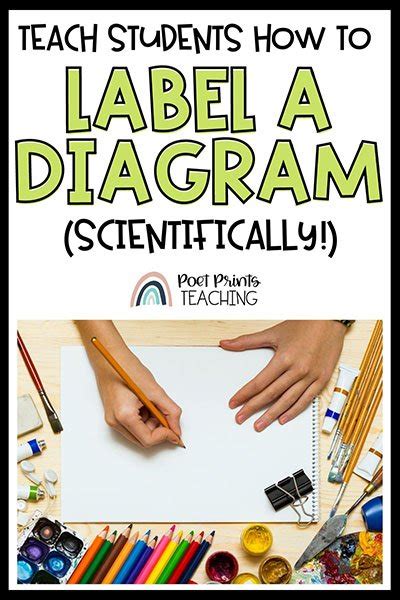 How to Label a Scientific Diagram for Kids — Poet Prints Teaching