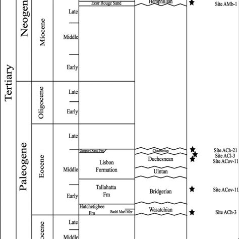 Stratigraphic occurrences of trionychid fossils from Alabama. The star ...