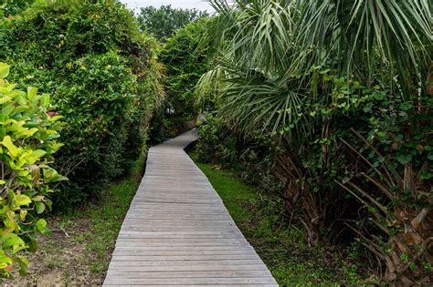 Beach Path Board Walk Walkway - Free photo on Pixabay - Pixabay