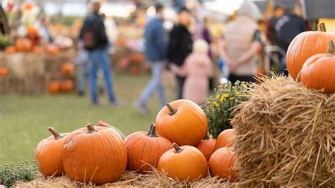 Fall activities, festivals in Vermont and Northern New York