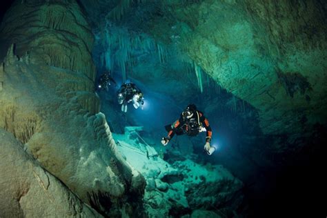 Cave-diving scientist finds new life forms underwater - The Washington Post