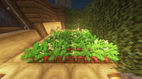 Melon's Custom Garden House #1 Minecraft Map