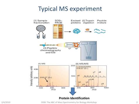 Mass Spectrometry: Protein Identification Strategies