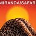 Perfecta (feat. Julieta Venegas) - Miranda!: Song Lyrics, Music Videos & Concerts in 2024 ...