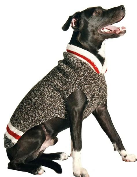 11 Best Dog Sweaters Ideas on Amazon | Pets Nurturing