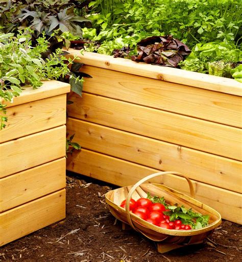 Build self watering planters | The Family Handyman Diy Garden, Garden Boxes Diy, Raised Garden ...