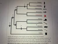 Answered: Cephalochordata Hemichordata… | bartleby