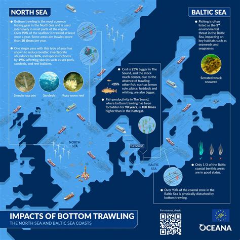 Impacts of Bottom Trawling - Oceana Europe