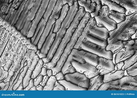 Ammonium Sulfate Microcrystals Stock Image - Image of macro ...