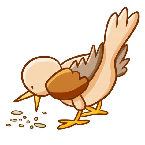 Bird Seeds Clipart Images