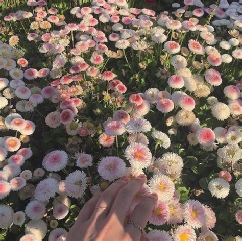 cottagecore | Tumblr | Flower aesthetic, Spring aesthetic, Nature aesthetic