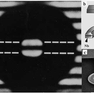 Conclusive experiment of the Aharonov-Bohm effect: (a) Interference... | Download Scientific Diagram