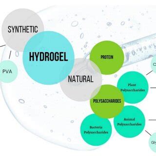 Classification of polymer gels. | Download Scientific Diagram