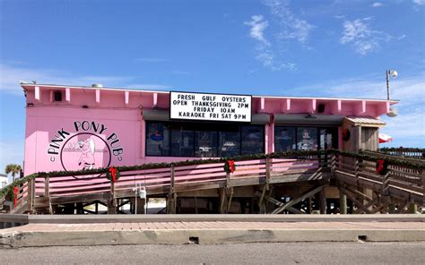 my favorite gulf coast dive ... The Pink Pony Pub | Pub, Gulf oysters, Restaurant