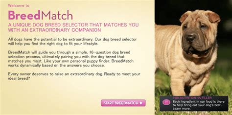 8 Dog Breed Selector Tools For Find Your Perfect Dog!