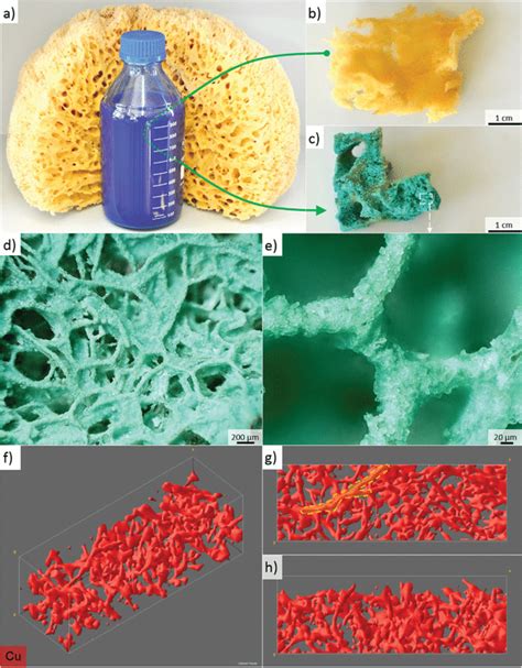 Biological material meets alkaline, toxic Cu‐based waste. a–d) A... | Download Scientific Diagram