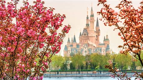 The Incredible Shanghai Disney Resort Is About To Open