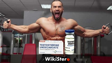 You all need to Know about Testosterone Undecanoate Cycle | WikiStero - The Bible of Anabolic ...